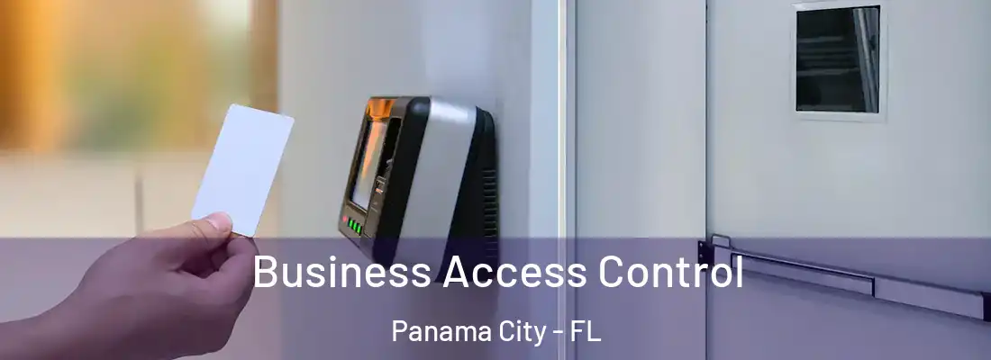 Business Access Control Panama City - FL