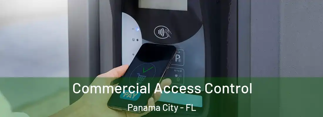 Commercial Access Control Panama City - FL