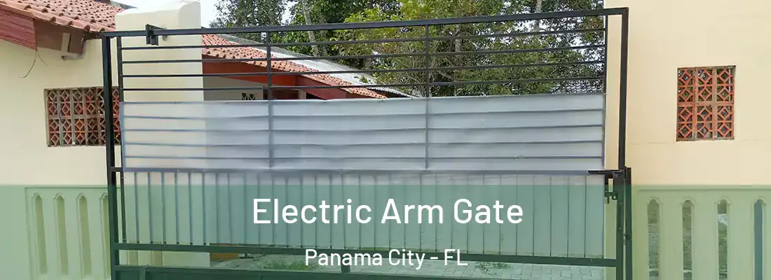 Electric Arm Gate Panama City - FL