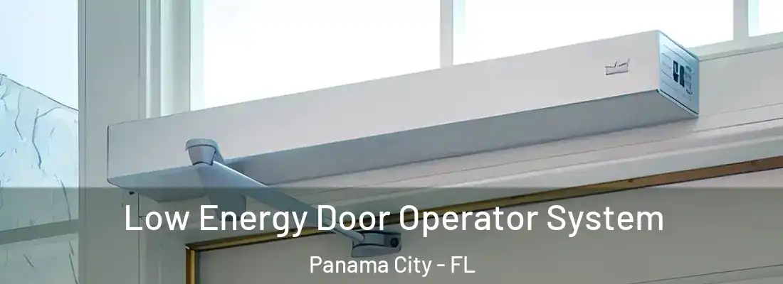 Low Energy Door Operator System Panama City - FL