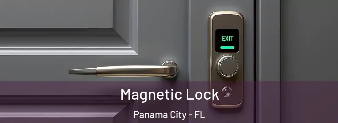 Magnetic Lock Panama City - FL