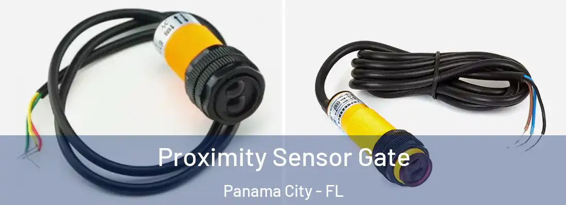 Proximity Sensor Gate Panama City - FL